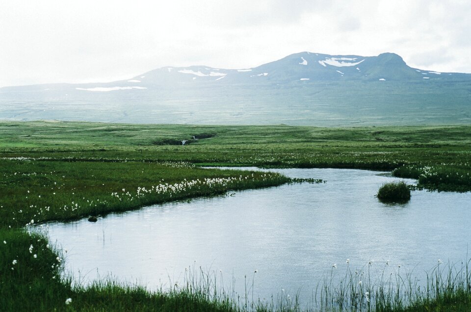 Green grass mountains
