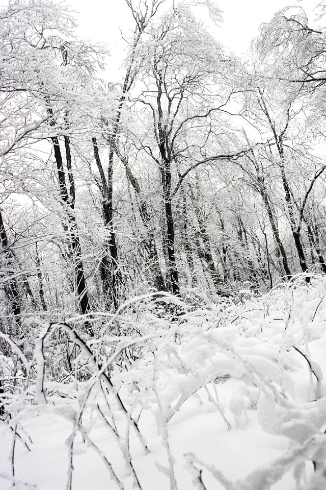 Frozen freeze cold