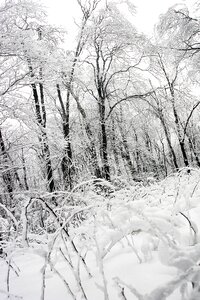Frozen freeze cold