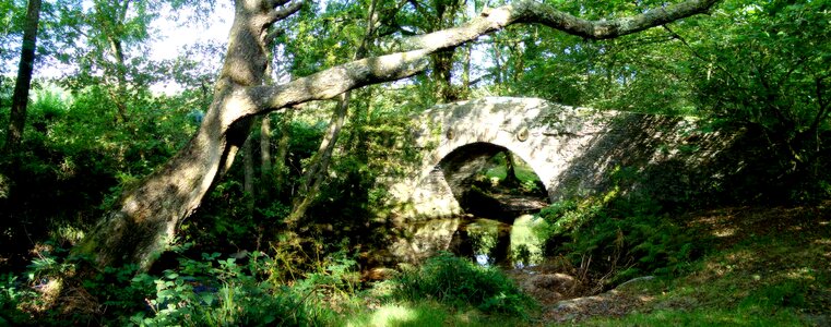 Bridge river water