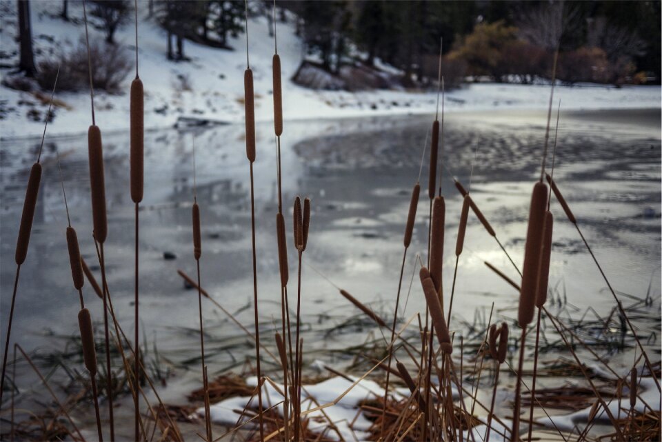 Water winter nature