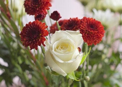 Flowers bouquet