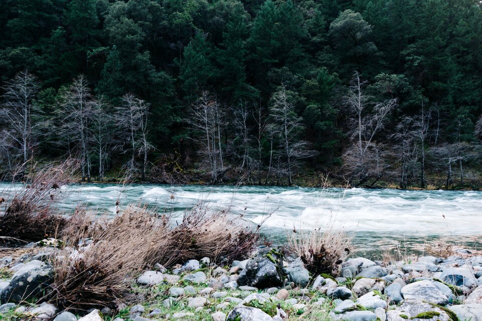 Rapids rocks forest photo