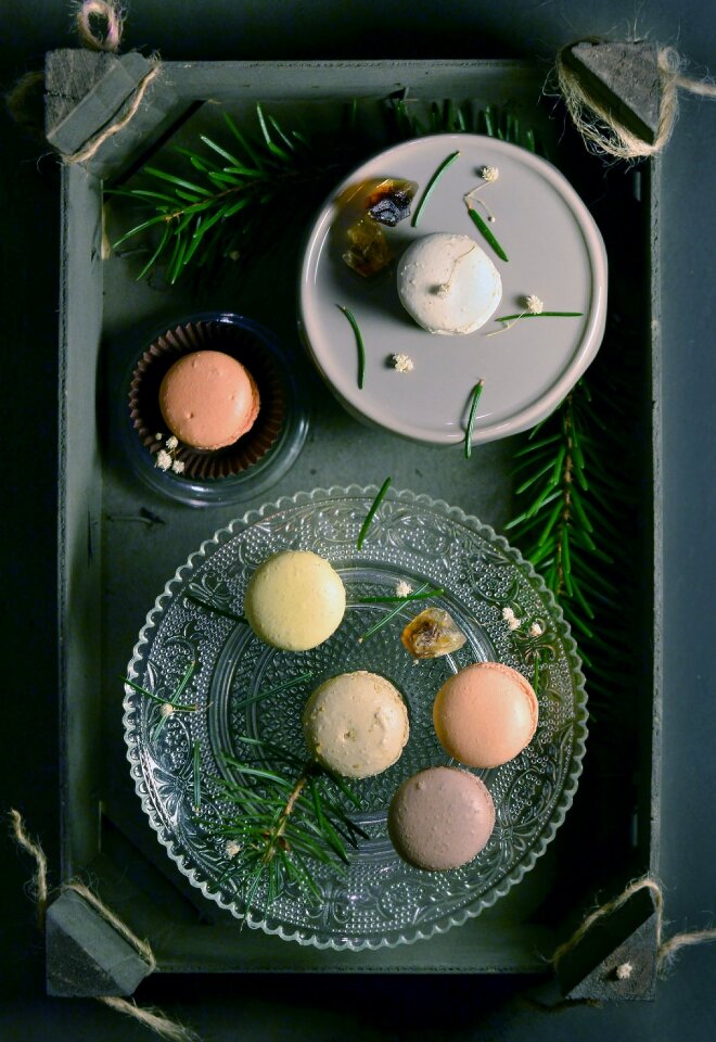 Treats food snack