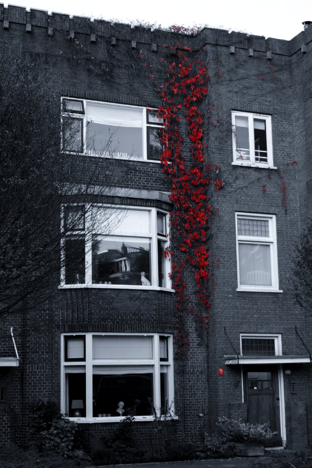 Windows building apartment