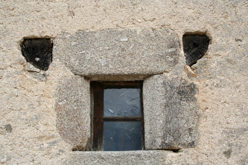 Wall building sheep