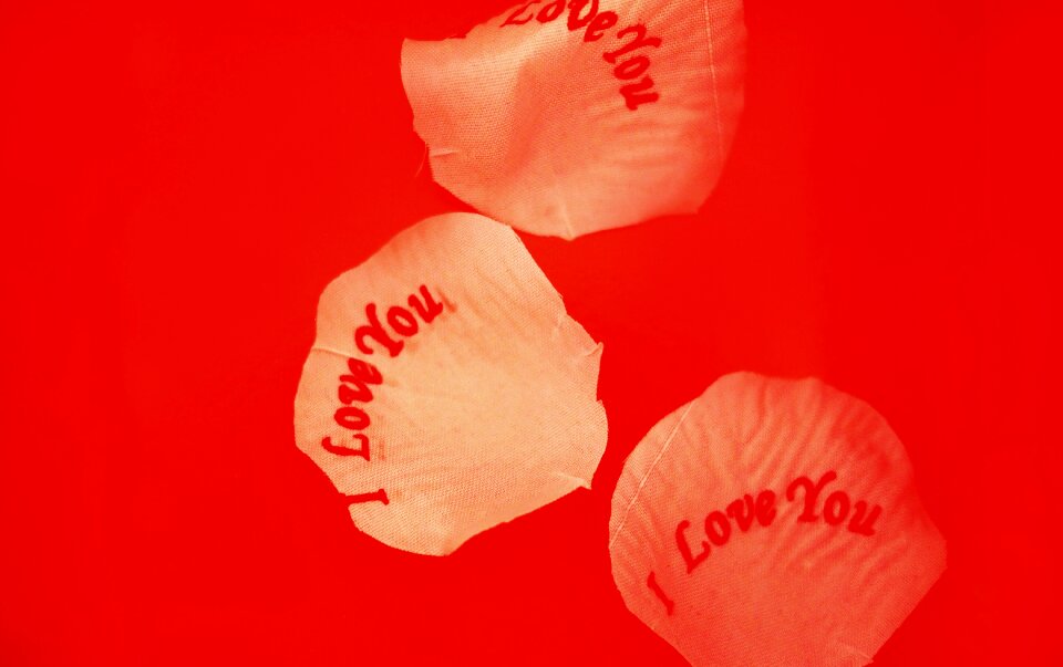 Valentines red red love