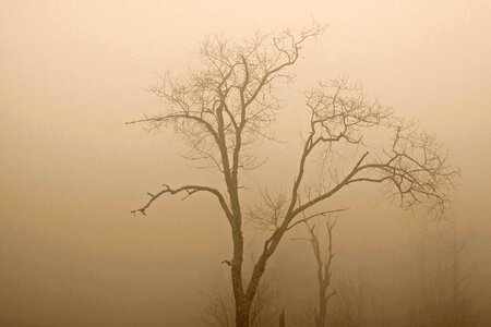 Fog haze