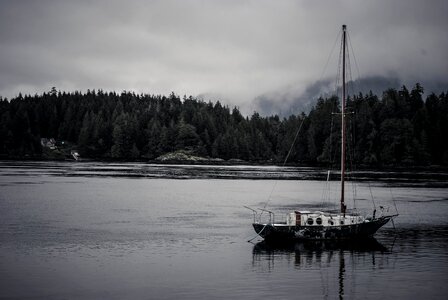 Ship sailing forest
