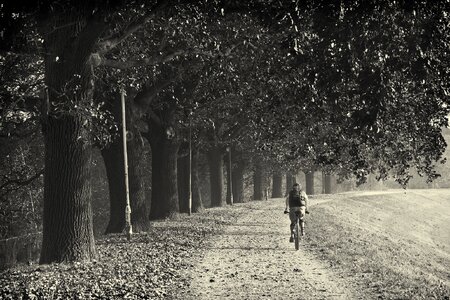 Biker exercise fitness photo