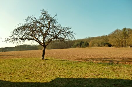 Sky landscape arable photo