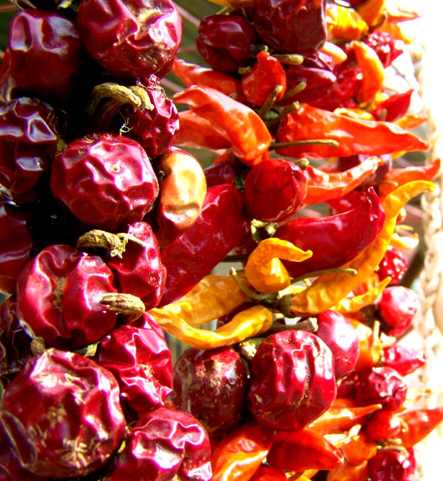 Dried cherry pointed dried paprika vegetables