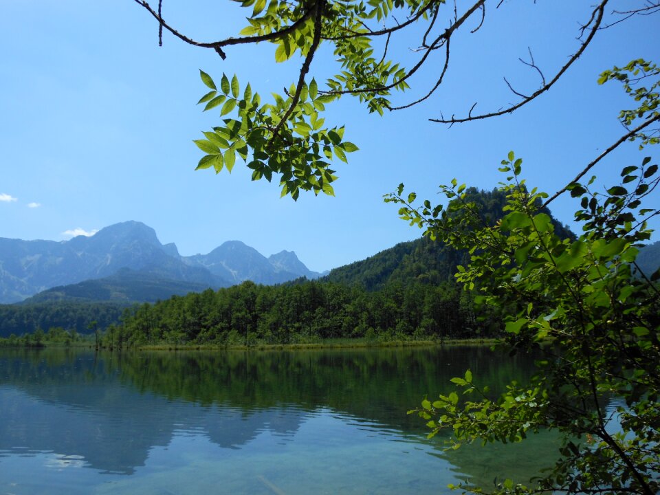 Nature landscape almsee