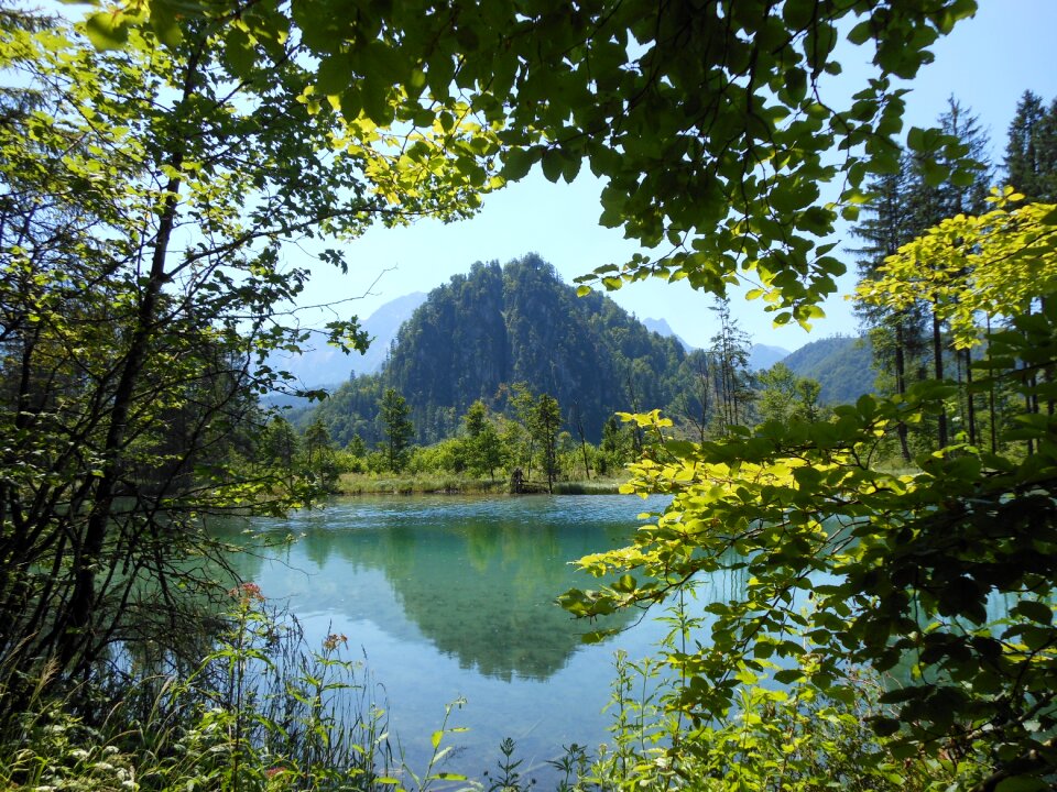Nature landscape almsee