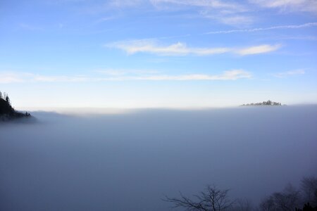 Fog transition alpine photo
