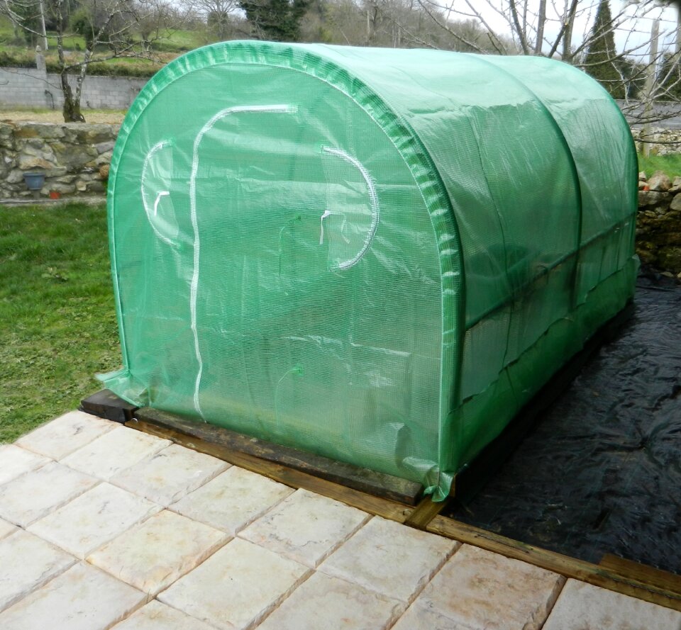 Greenhouse exterior plants