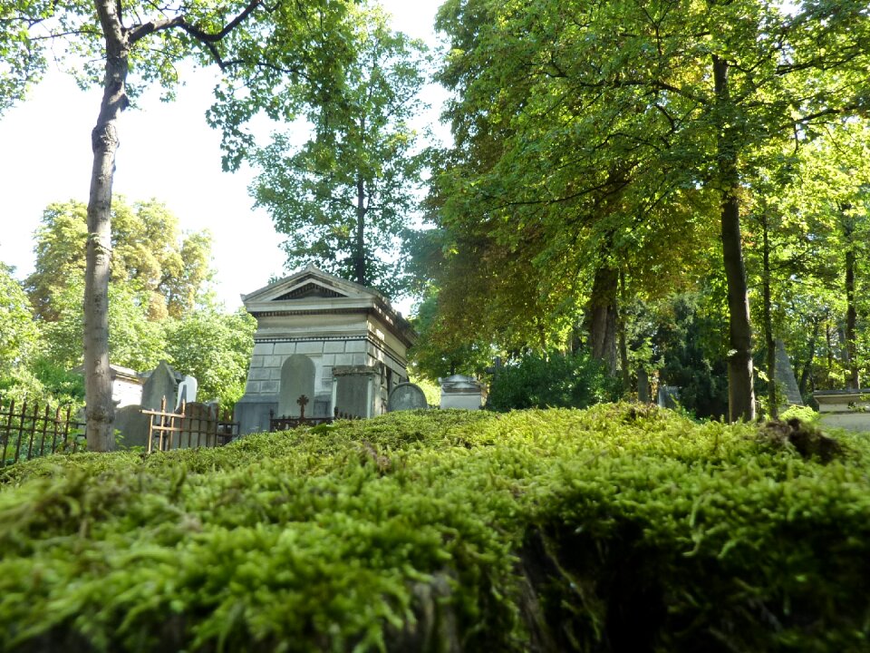 Cemetery foam falls