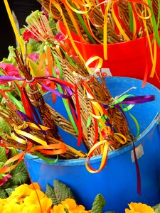 Whip spring colors