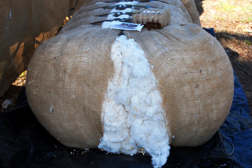 Bale of cotton fluffy