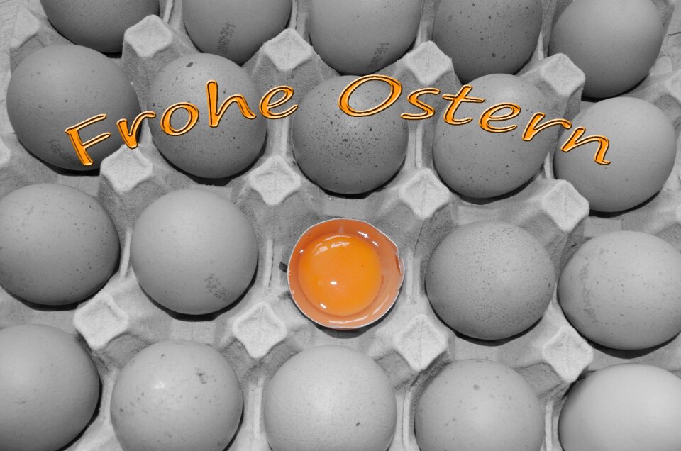 Yolk easter eggs raw egg