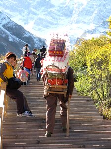 Character stairs carry