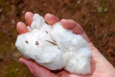 Fluffy agriculture