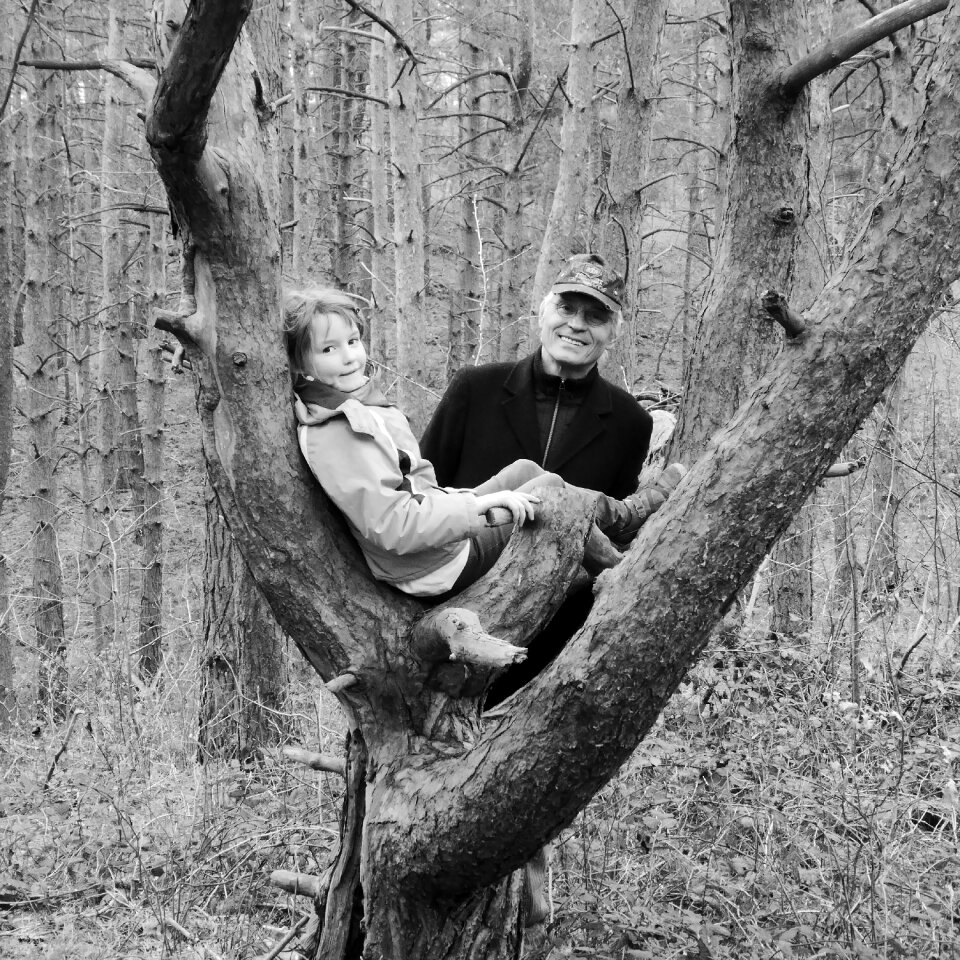 Tree outing climbing human