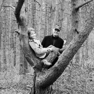 Tree outing climbing human