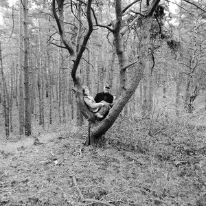 Tree outing climbing human