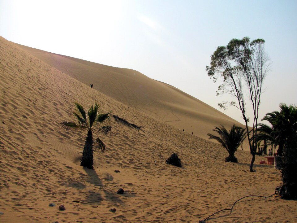 Dunes namibia desert