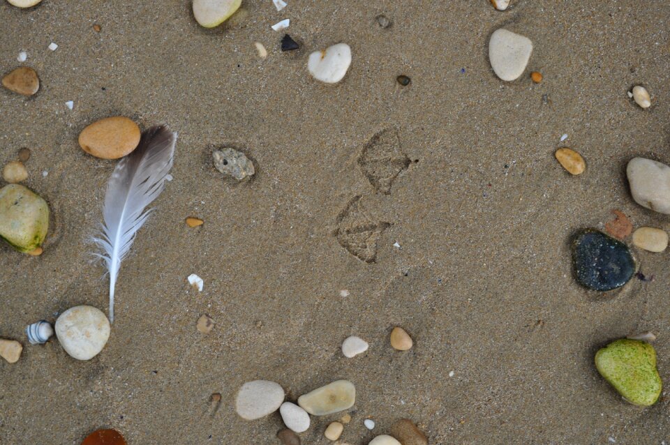 Beach ocean nature