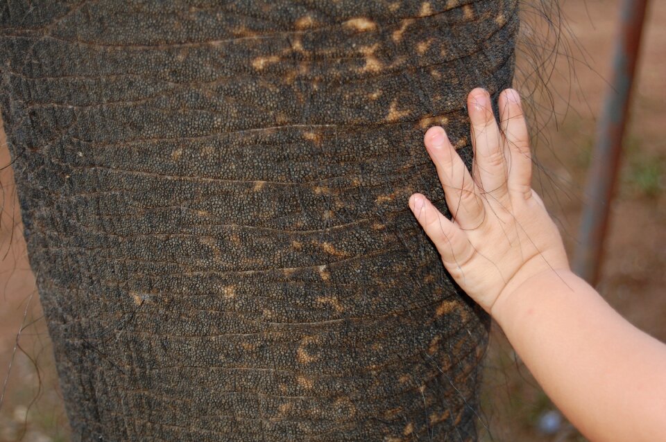 Texture skin smooth