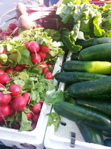 Green market cucumbers