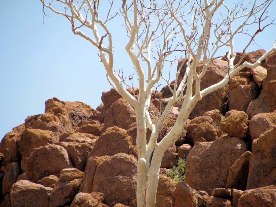 Rock desert namibia