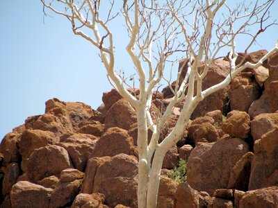 Rock desert namibia photo