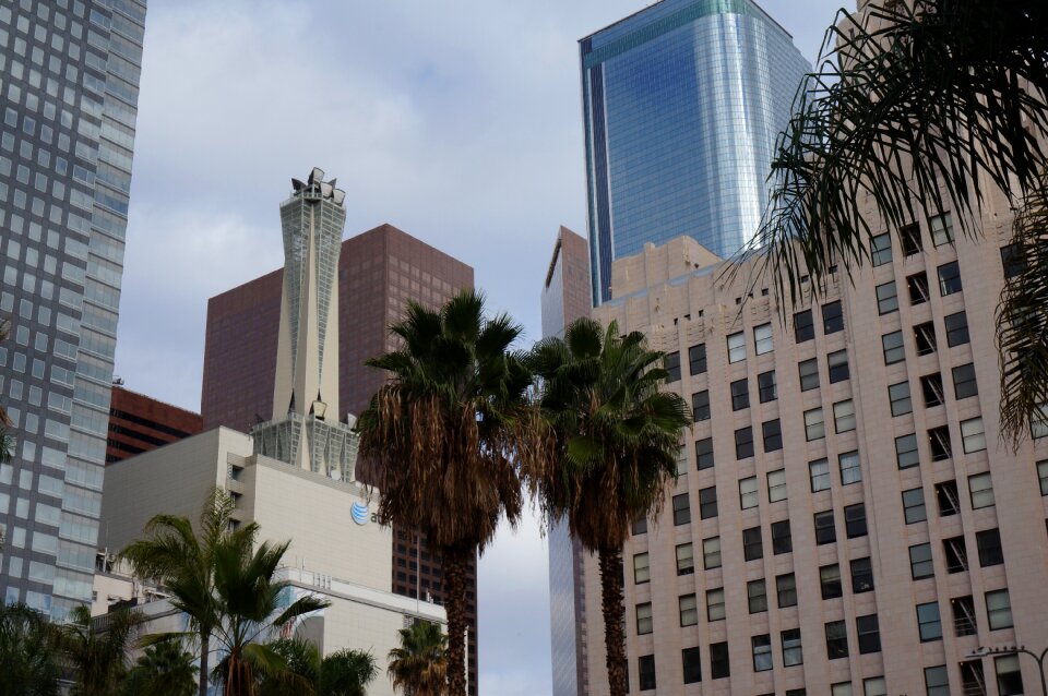 City los angeles sua