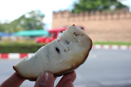 Fruit the city walls double bar car