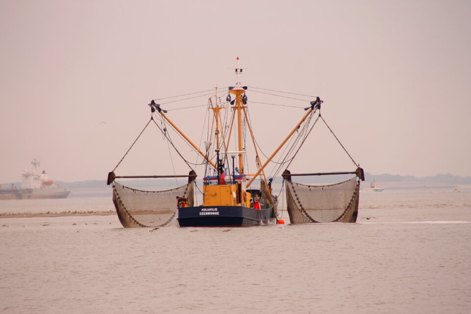 Fish breskens netherlands
