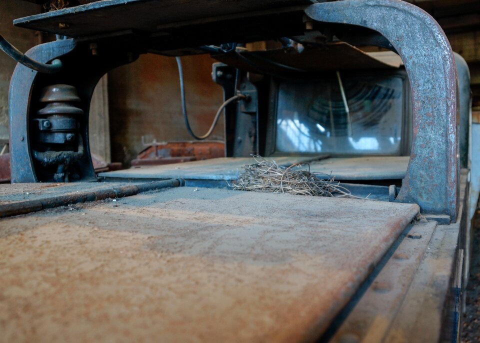 Industry bird nest nature