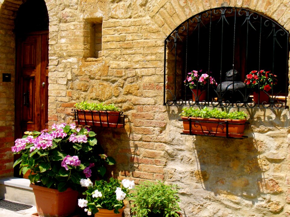 Flowers window