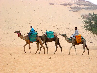 Caravan egypt transport photo