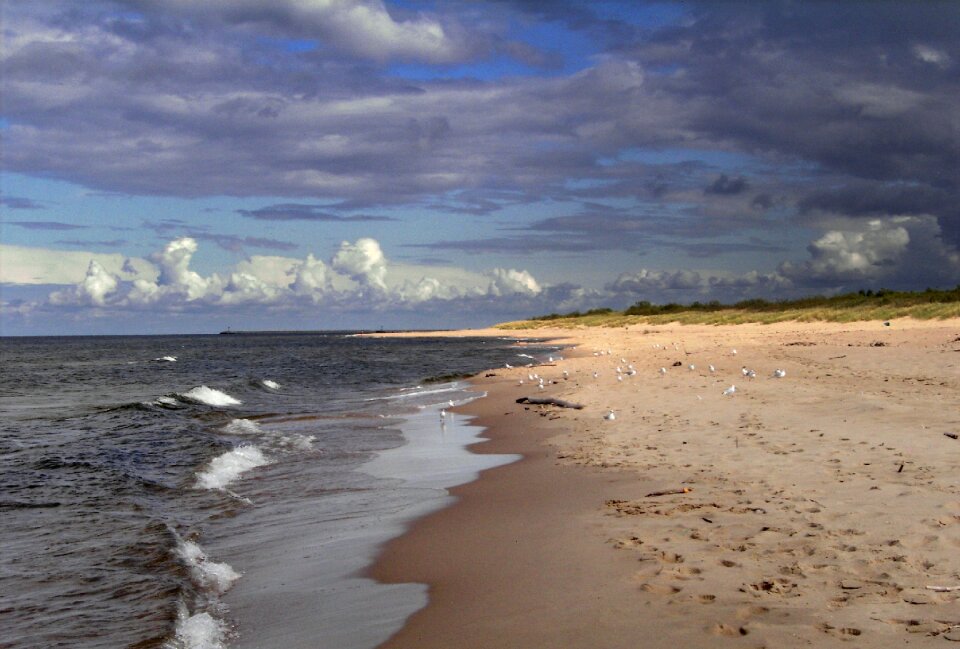 Marine water nature