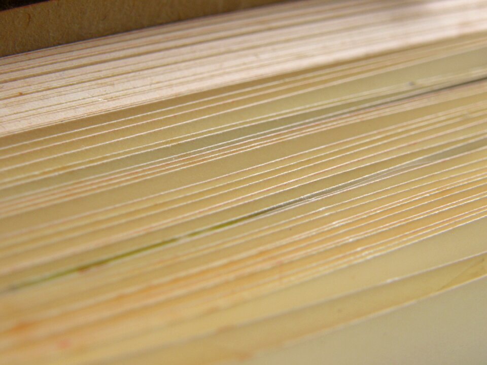 Book old foliage