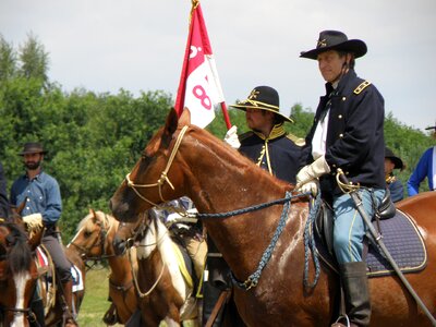 Horses western wild west