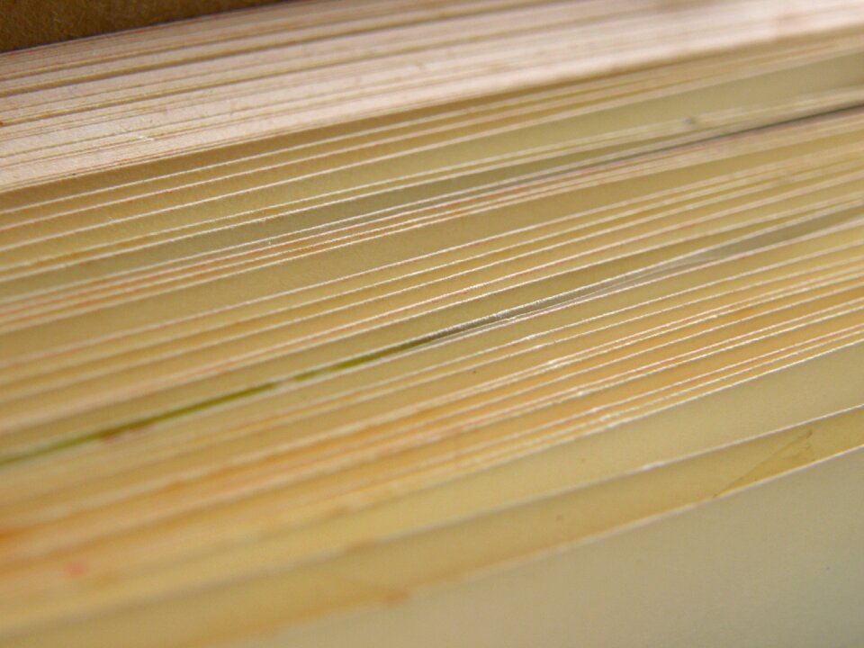 Book old foliage