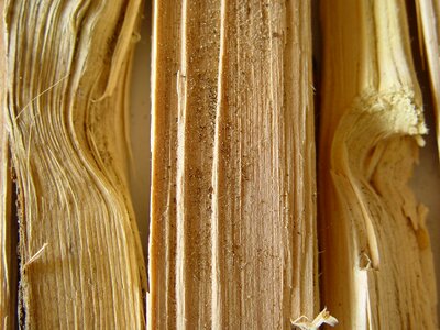 Timber industry heat timber