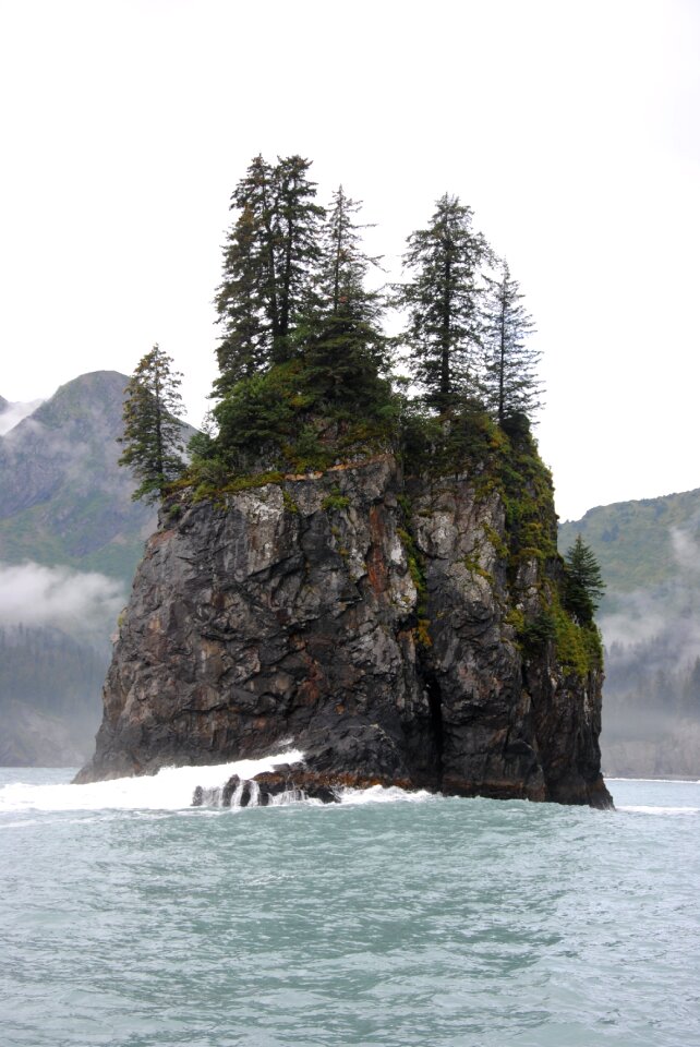 Nature wilderness