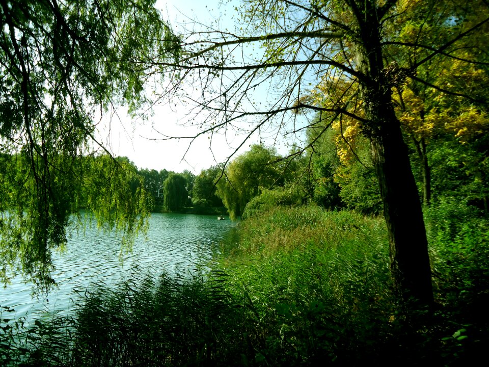 Steinseeidylle landscape fish pond