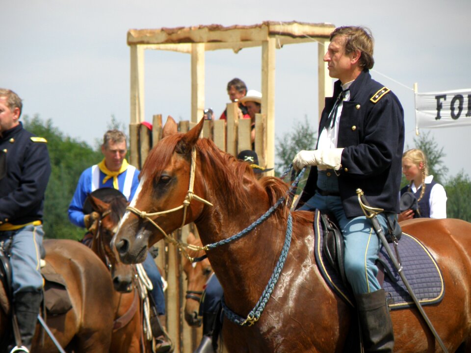 Horses western wild west