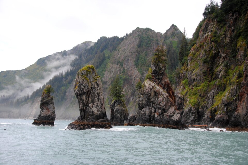 Nature wilderness